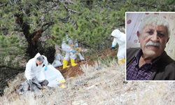 Kastamonu'nun komşu ilinde kan donduran olay: Başını kesip dereye atmışlar!