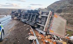 Feci Kaza: Kuruyemiş Yüklü Tır Şarampole Devrildi