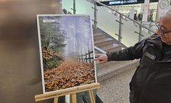 Kastamonu’da Dünya Sulak Alanlar Günü’ne Özel Fotoğraf Sergisi