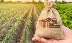 Esnaf ve çiftçiye kredi başvurusu değişti: Yeni kurallar yürürlükte