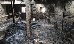 Feci yangında ahır kül oldu: 1 hayvan telef oldu
