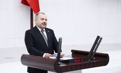 Milletvekili Uluay açıkladı: Sarımsak ve kenevir teşvik programında