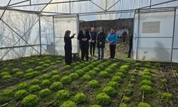 Hanönü'de kadın üreticilerin gücü artıyor