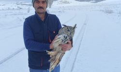 Hareketsizliğin Nedeni Yara Değildi: Puhuda Ölümcül Virüs!