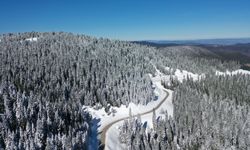 Ilgaz Dağı'nda kar manzarası büyüledi: Büyük Hacet Tepesi beyaza büründü!