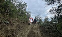 İnebolu’da 90 hektarlık defne atağı, sahada çalışmalar hızlandı