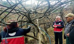 Kastamonu’da İlçe Tarım'dan Üreticiye Yerinde Destek