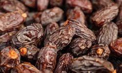 Soykırımcı İsrail Hurmasına Dikkat!