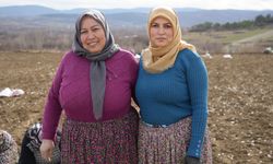 İstanbul'dan memleketi Taşköprü'ye döndü: Megakenti bırakıp toprağa sarıldı