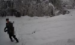 Kaçak avlanıyordu! Fotokapana yakalandı: Tüfeğine el konuldu!