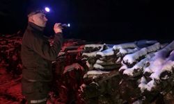 Kastamonu ormanlarında 17 işletme sahasında 7/24 kontrol