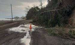 Kastamonu sahilinde yağış sonrası heyelan: Ağaçlar yola kadar geldi!