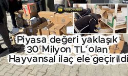 Kastamonu’da Operasyon: Piyasa Değeri 30 Milyon TL
