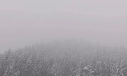 Kastamonu’da Kar Yüzünü Yeniden Gösterdi: Ilgaz Dağı Beyaza Büründü