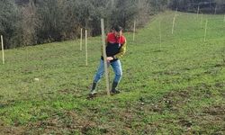 Kastamonu'da tarım arazilerine sıkı denetim: Başvurular titizlikle inceleniyor