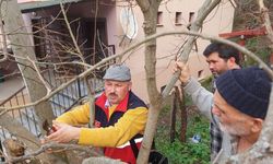 Kastamonu’nun ilçesinde çiftçiye sahada eğitim