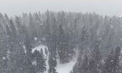 Kastamonu’nun yüksek kesimlerinde kış geri döndü