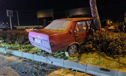 Otomobil refüjdeki ağaca çarptı: Genç sürücü yaralandı