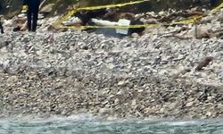Sahil kontrol altına alındı: Kıyıya vuran yabancı cisim korkuttu