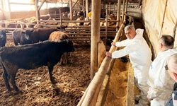 Kastamonu'da Besiciye Yakın Takip