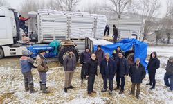 Kastamonu'da Hayvancılığa 43 Tonluk Can Suyu: Çiftçilere Dağıtıldı