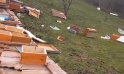 Şiddetli Rüzgar Kovanları Parçaladı: Zarar Büyük!