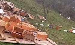 Fırtına Arıcılığı Vurdu: Kovanlar Hasar Gördü