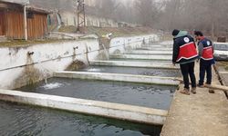 Kastamonu’da Su Ürünleri Tesislerine Kapsamlı Denetim