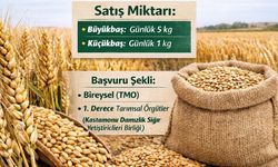 Kastamonu’da TMO Satışa Devam Ediyor: Son Başvuru 2 Şubat