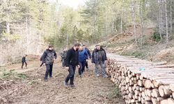 Taşköprü ormanlarında denetim