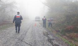 Heyelan Ulaşımı Felç Etti: Yol Kapandı!