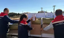 Baklava üretiminde kullanılacaktı: 2 ton zehirli fıstık yakalandı