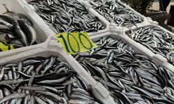 Balık tezgahlarında Ramazan mesaisi: Hamsi 100 liradan satılıyor