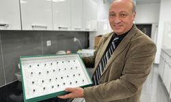 Böcekler ölümlü olayları aydınlatıyor: Ölüm zamanı ve olay yeri belirlenebiliyor!