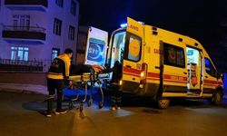 Komşu kavgası büyüdü: 6 kişi hastanelik oldu