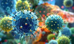 Domuz gribi vakalarında artış: Uzmanlardan kritik uyarı