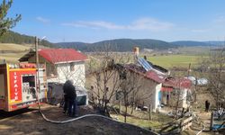 Köyde korkunç yangın: Yaşlı adam yangında can verdi