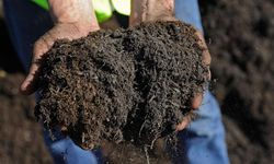 Gübre piyasalarında kriz: Fiyatlar yüzde 56 arttı!