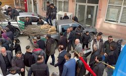 Hanönü’nde 5 bini aşkın fidan dağıtıldı: Vatandaşlar etkinliğe akın etti