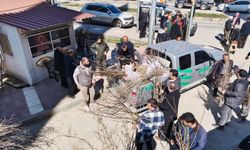 Hanönü'de vatandaşlara 2 bin fidan dağıtıldı
