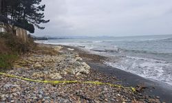 Karadeniz’de gizemli cisim kıyıya vurdu: Bölge güvenlik çemberine alındı