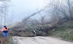 Kastamonu'da heyelan bölgesinden yeni görüntüler geldi