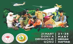 Kastamonu’da Orman Haftası kutlanacak: Fidanlar toprakla buluşacak