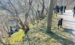 Kastamonu'da korkutan kaza: Pat pat yine can yaktı!