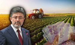 Kastamonu'da 15,8 milyon TL destek ödemesi yapılacak!