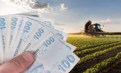 Kastamonu'da 425 milyon TL destek hesaplara yatacak