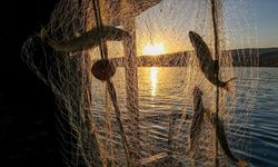 Kastamonu'da amatör balık avı yasağı 15 Mart'ta başlıyor