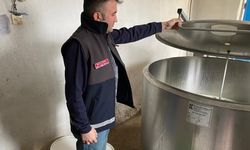 Kastamonu'da çiğ süt desteklemeleri kapsamında denetimler sürüyor