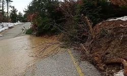 Kastamonu'da heyelan! Toprak ve ağaçlar yolu kapladı: Araçlar güçlükle ilerledi!