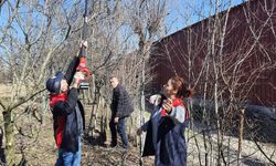 Kastamonu'da meyve ağaçlarında budama teknikleri anlatıldı